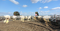small image picking cotton